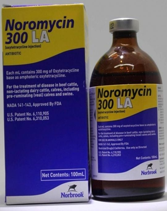 Thuốc Trị Khò Khè Noromycin 10ml