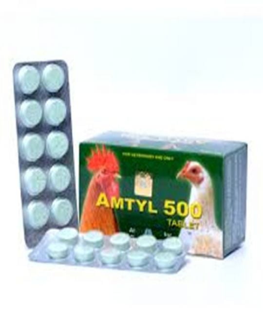 Thuốc Trị Tang Amtyl 500