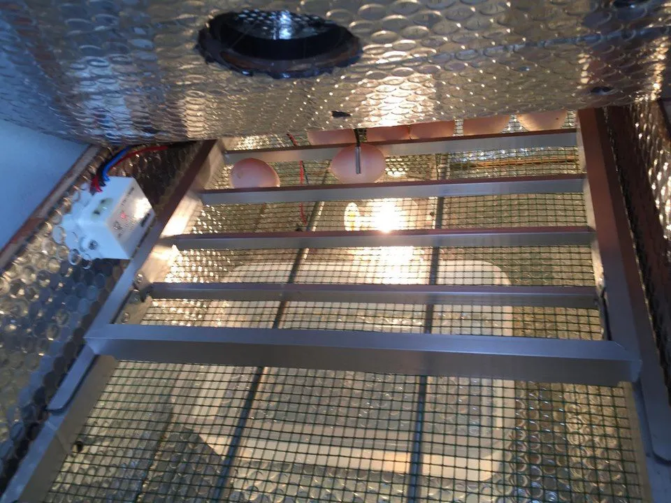 Máy Ấp Trứng Tự Động 42 Trứng Bằng Gỗ Cứng Cáp 